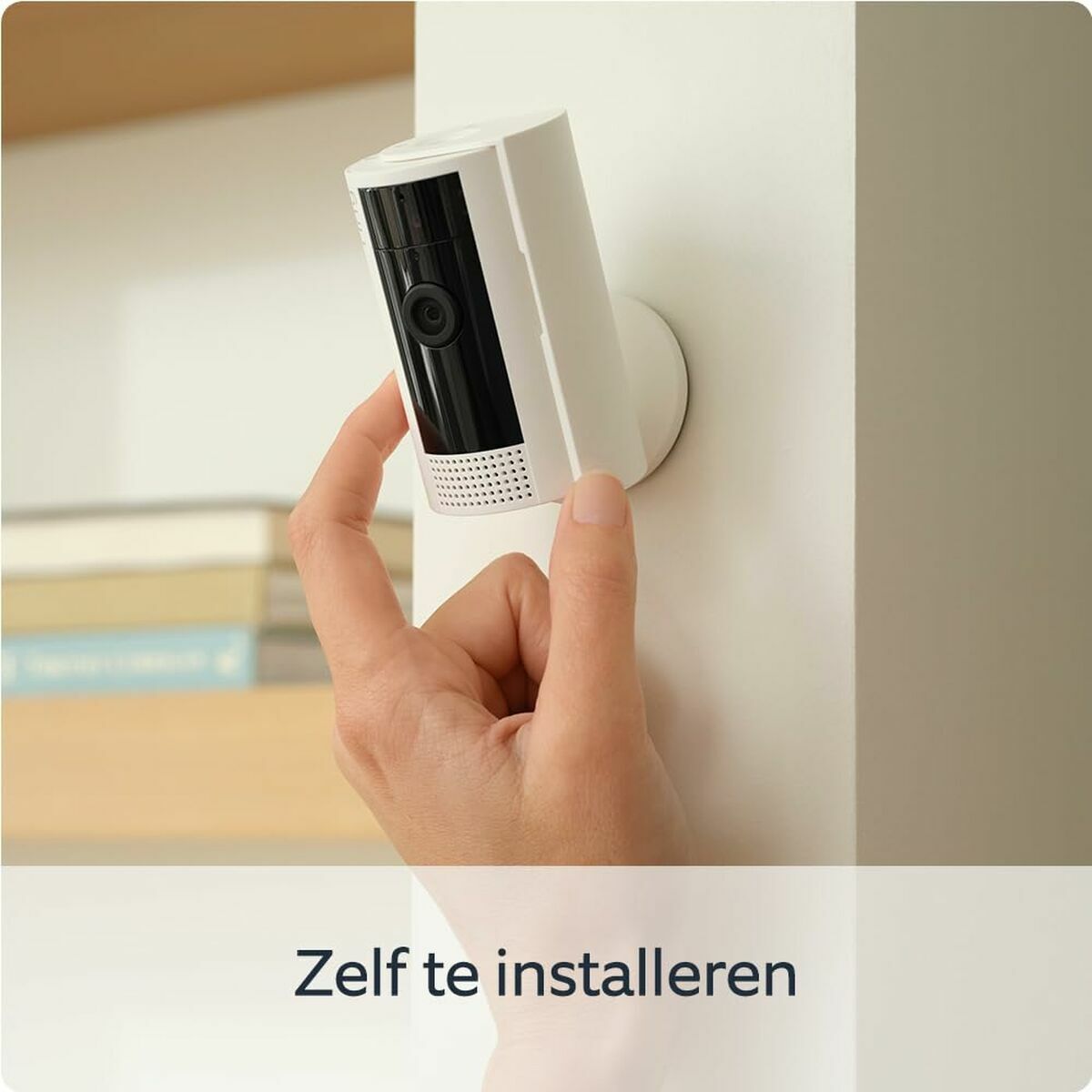 V5H98AA60457064B7E1FA9546A20FDF9BEAR6581652P8