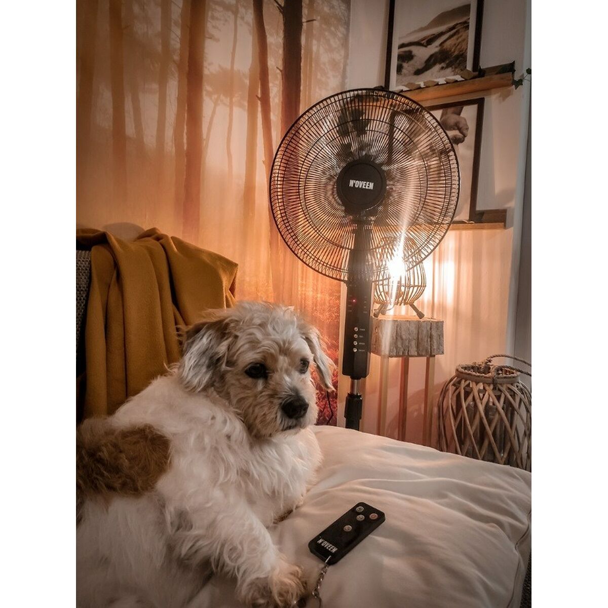 V5H6CDA36C59C3FB156E01A99A357549A25R6338650P5