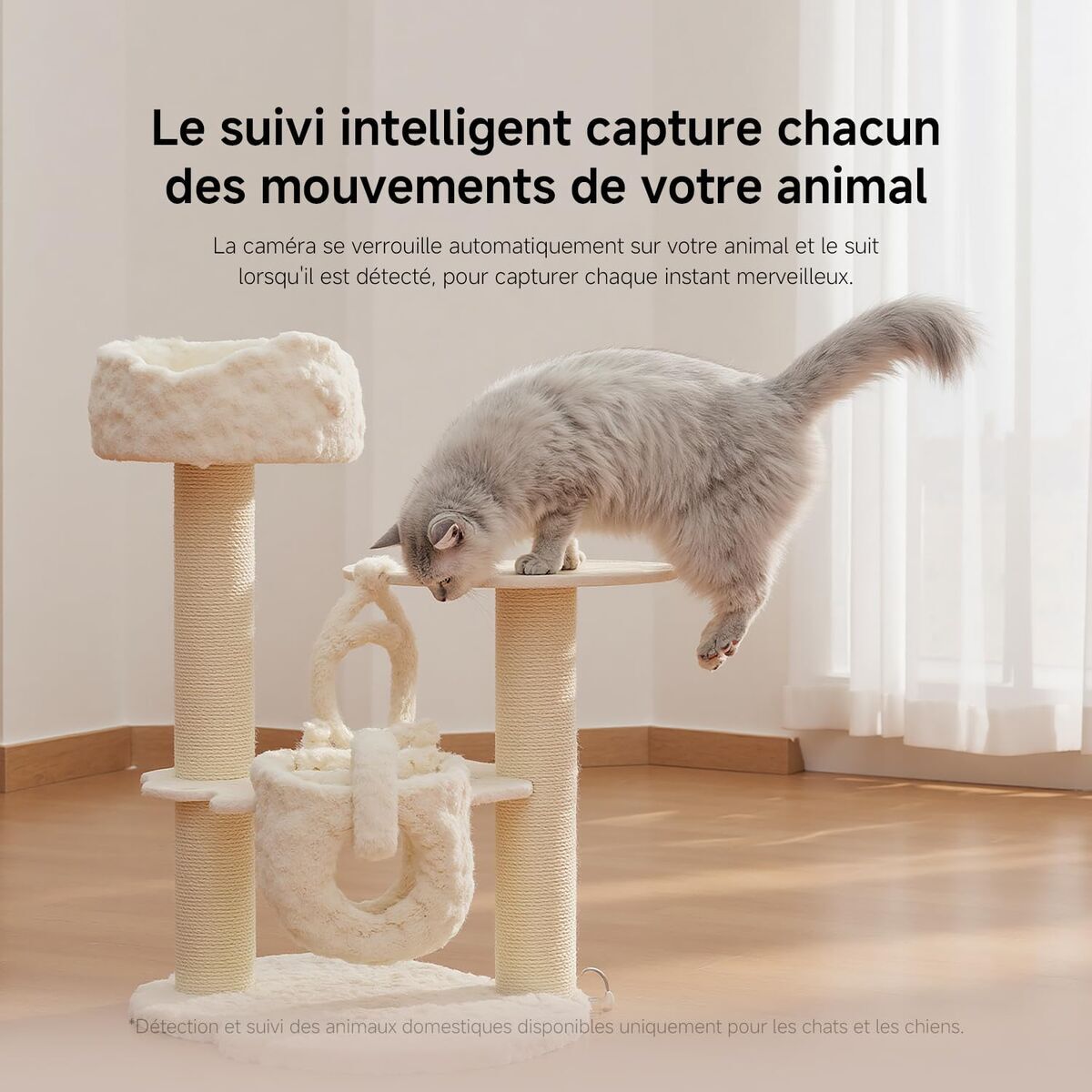 V2HD627E909E2F290EDBC28E409A42BD5C3R7827561P8